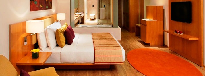 595/Radisson Blu Plaza Hotel Hyderabad Banjara Hills - Hyderabad 07.jpg